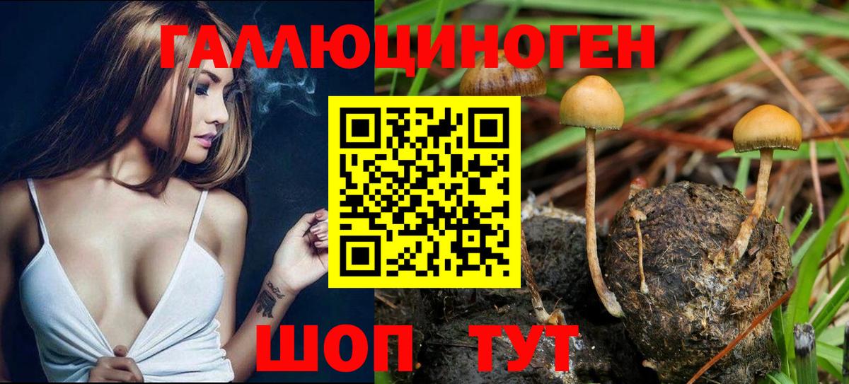 Каменск-Шахтинский  цена   Вход с VPN  Псилоцибиновые грибы прущие грибы 